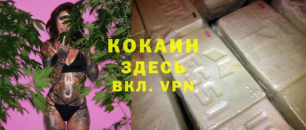 не бодяженный Алексин