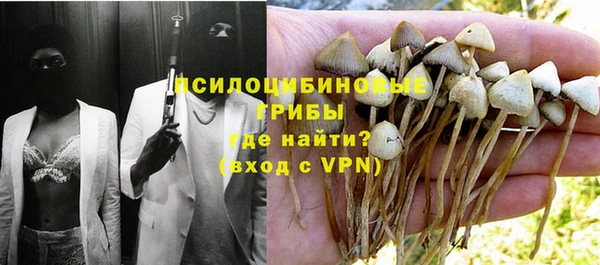 таблы Алзамай