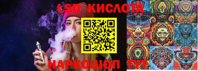 дмт Камышлов