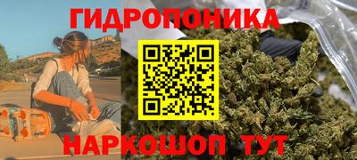 дмт Камышлов