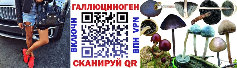где найти   Ленинск-Кузнецкий  Галлюциногенные грибы мицелий 